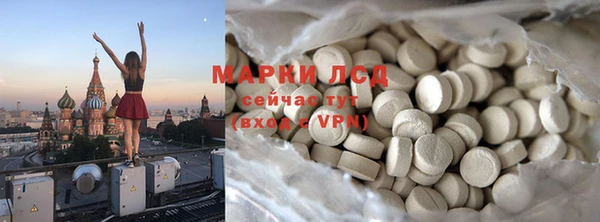 стаф Алзамай