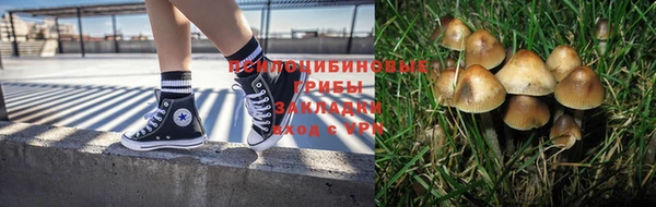 индика Рославль